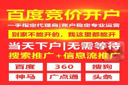竞价推广公司经典案例：打造行业领先的广告投放效果